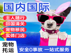 呼伦贝尔海拉尔机场快运国际宠物托运 【国
